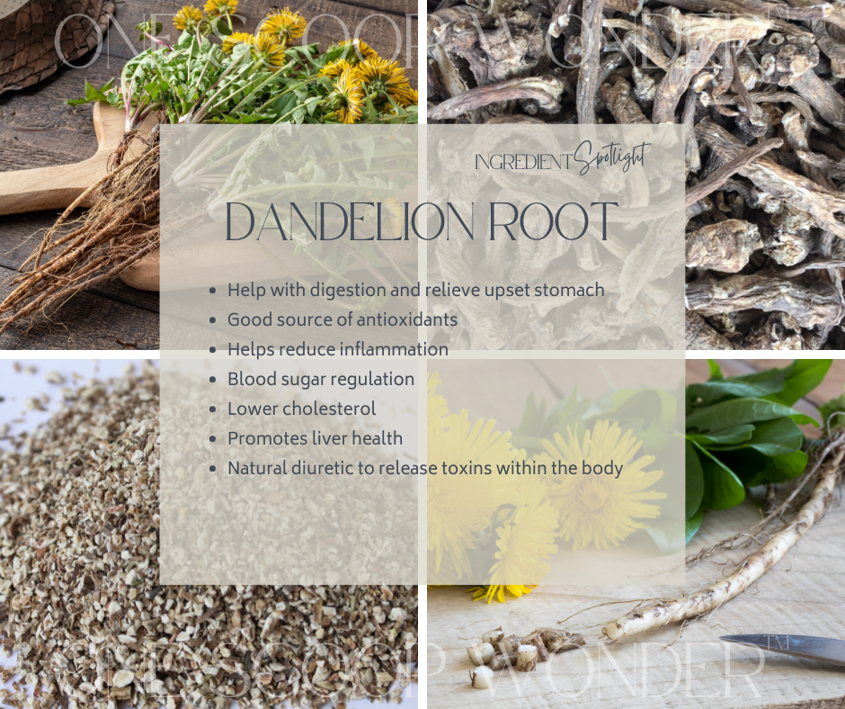 DANDELION ROOT