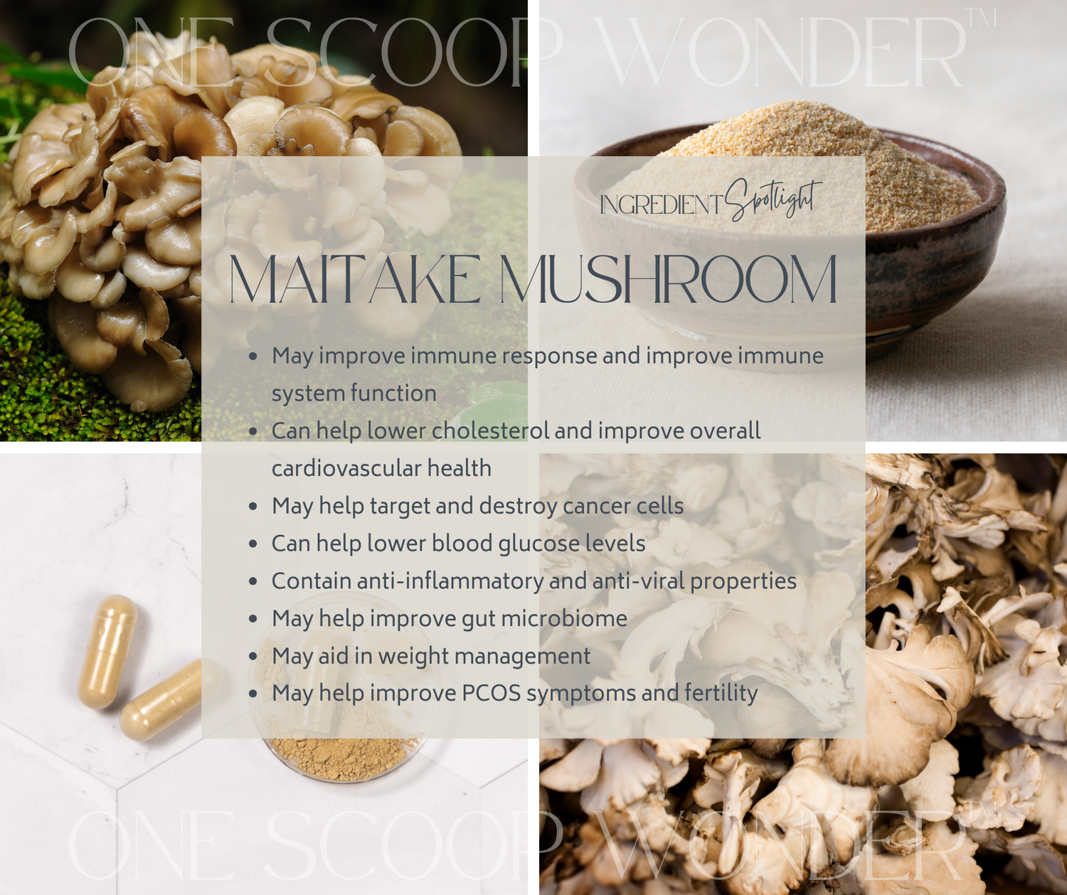 Maitake Mushroom