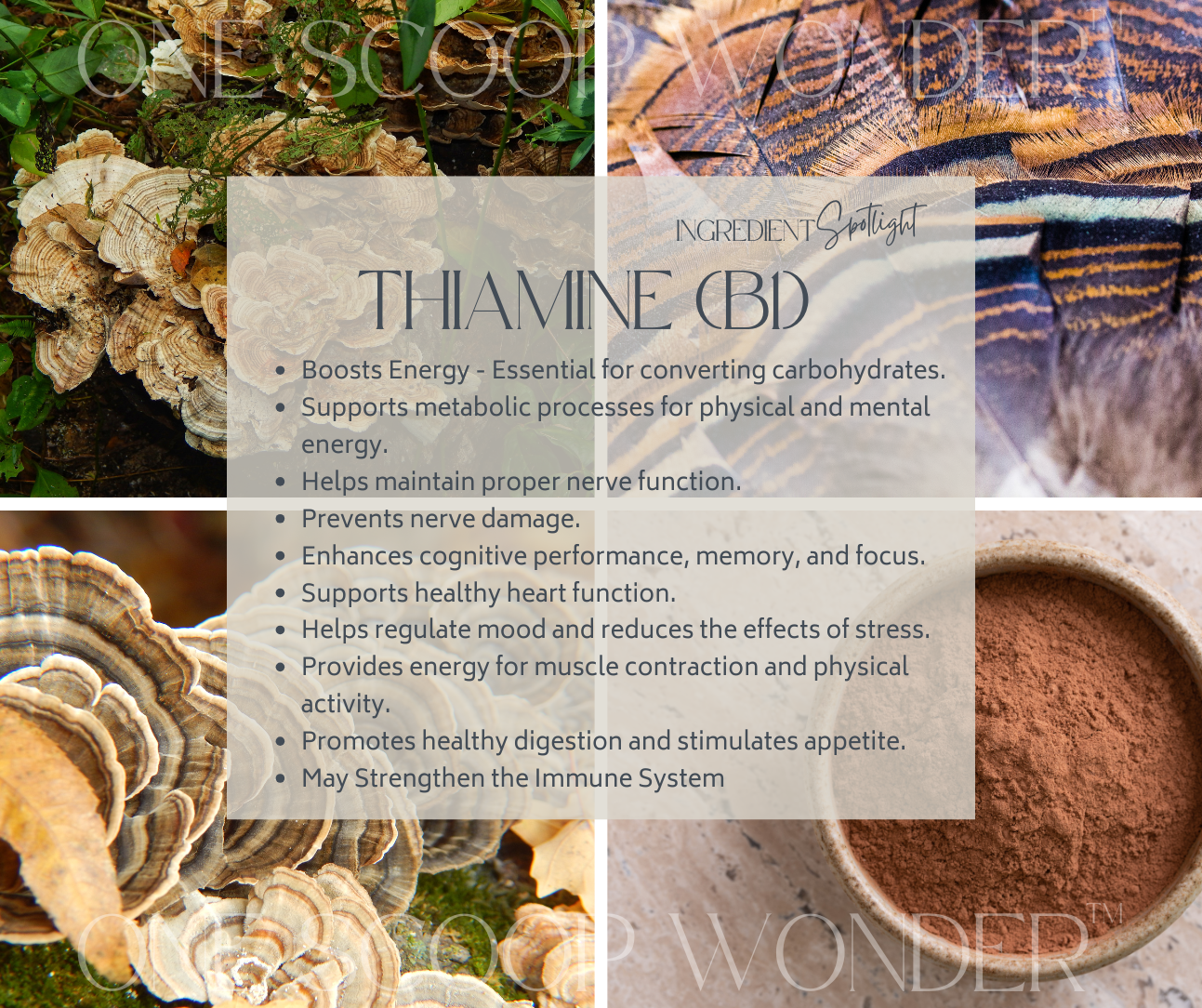 Thiamine